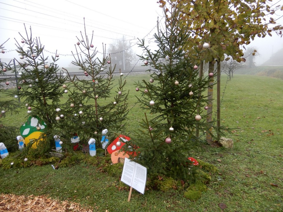 2. 12. 2024 - foto povečava