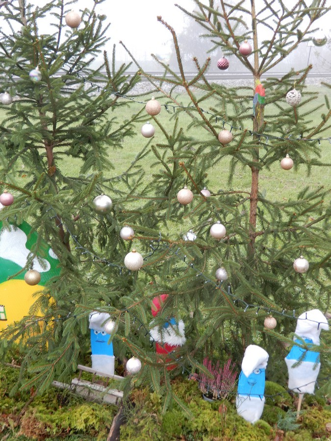 2. 12. 2024 - foto povečava