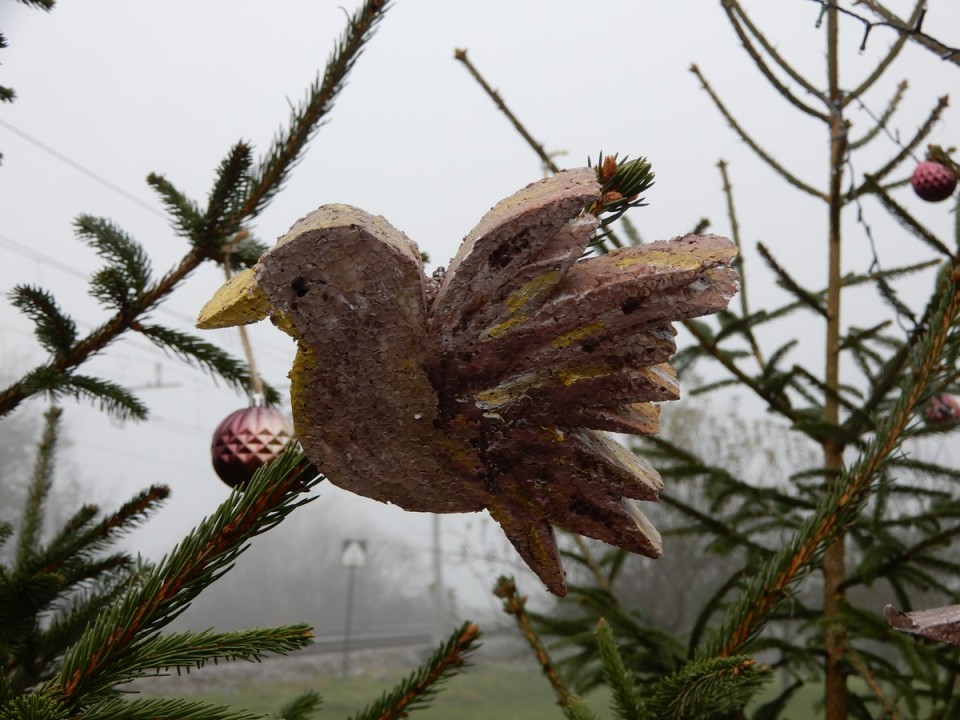 2. 12. 2024 - foto povečava