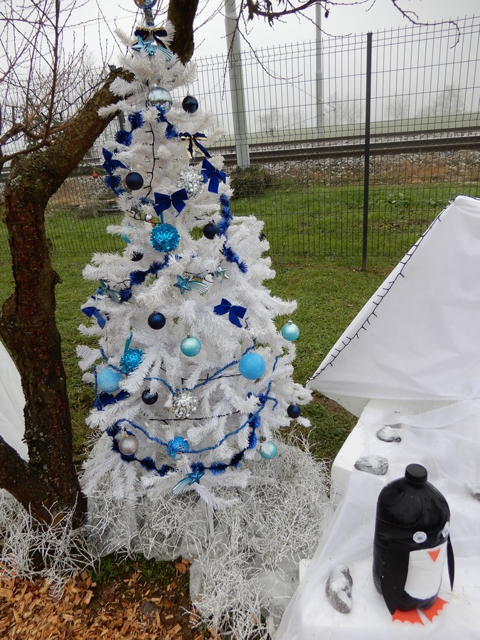 2. 12. 2024 - foto povečava