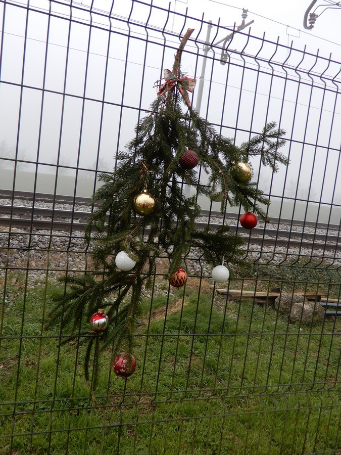 2. 12. 2024 - foto povečava