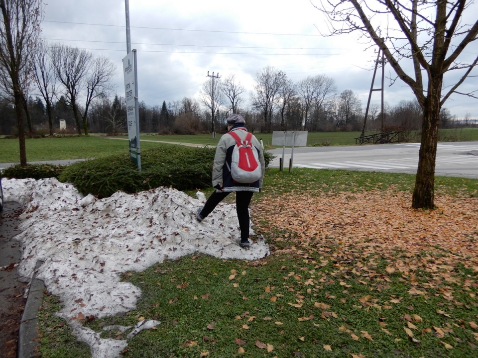 28. 11. 2024 - foto povečava