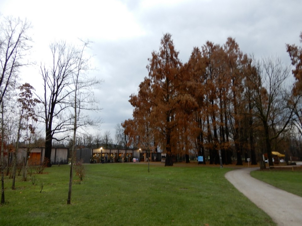 28. 11. 2024 - foto povečava