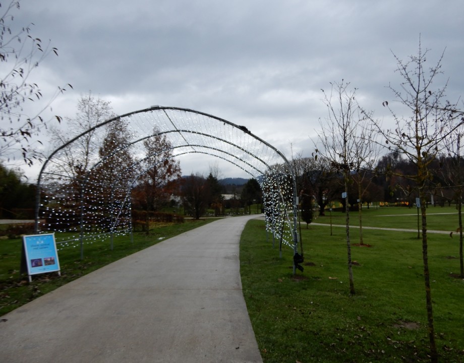 28. 11. 2024 - foto povečava