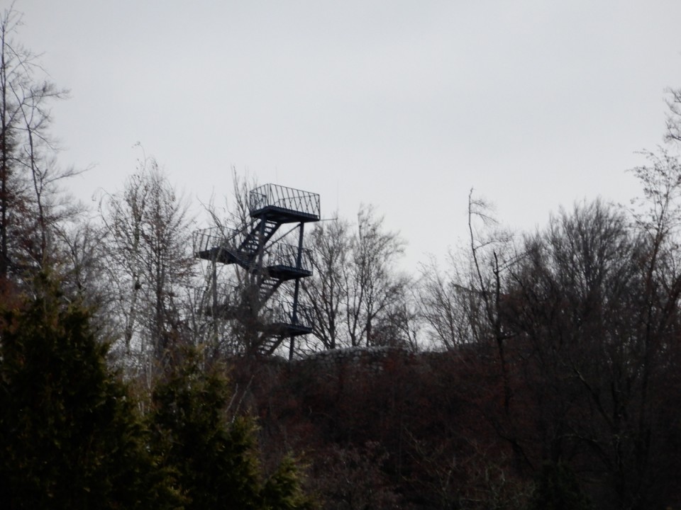 28. 11. 2024 - foto povečava