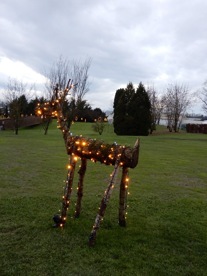 28. 11. 2024 - foto povečava