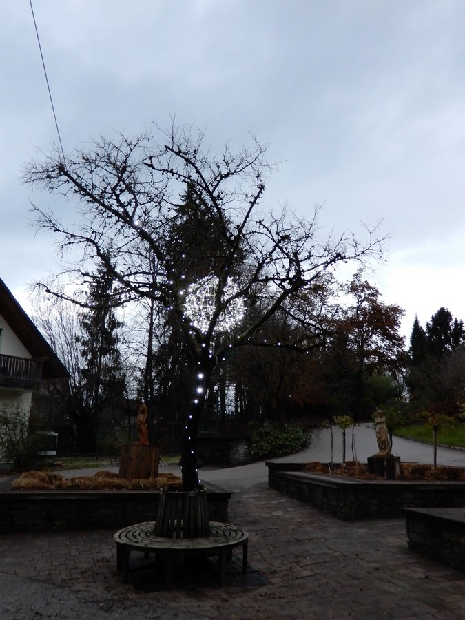 28. 11. 2024 - foto povečava