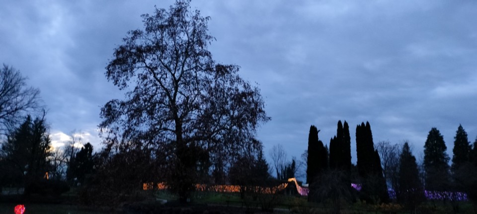 28. 11. 2024 - foto povečava