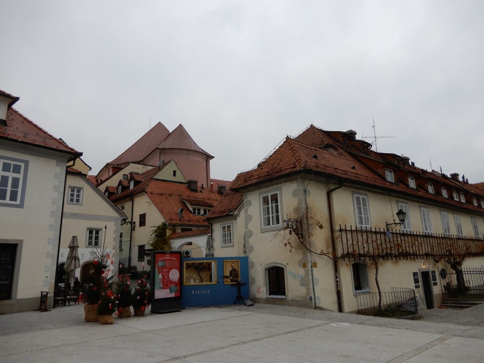 4. 12. 2024 - foto povečava