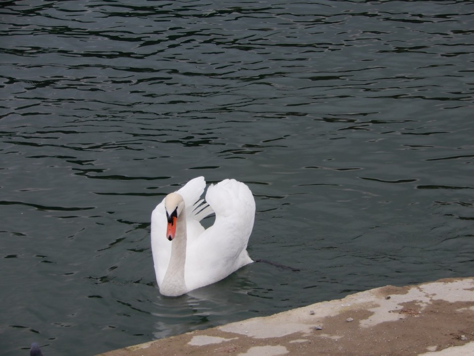 4. 12. 2024 - foto povečava