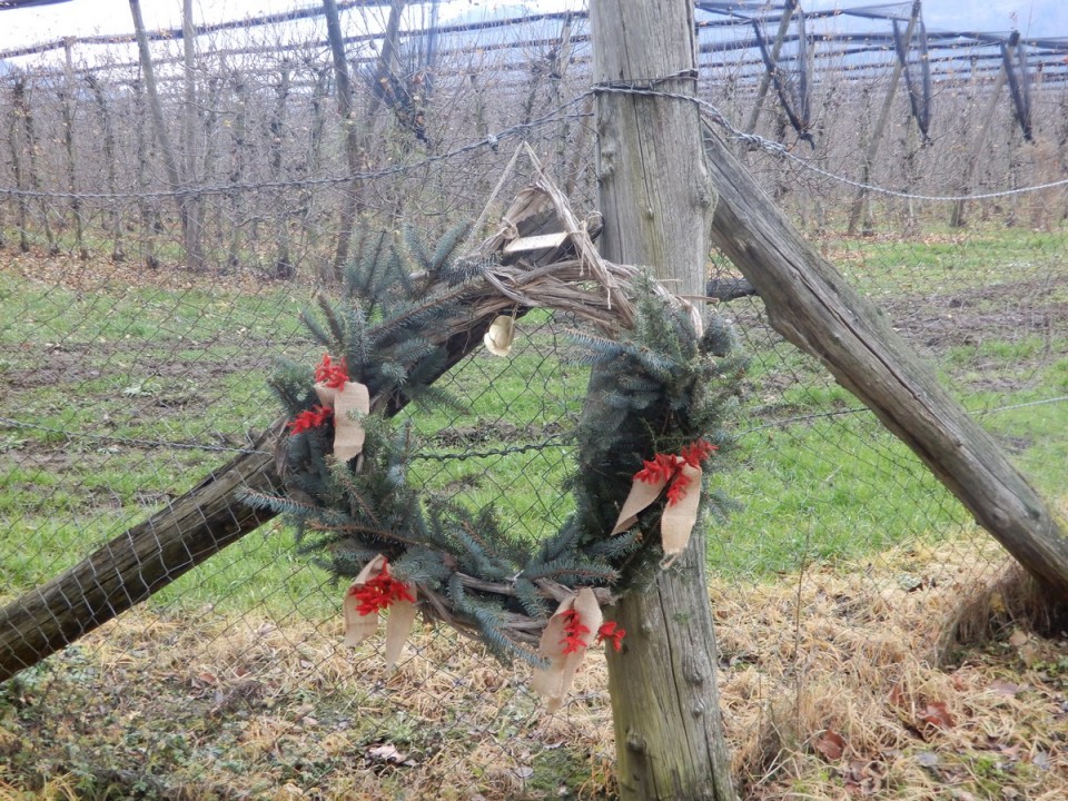 9. 12. 2024 - foto povečava