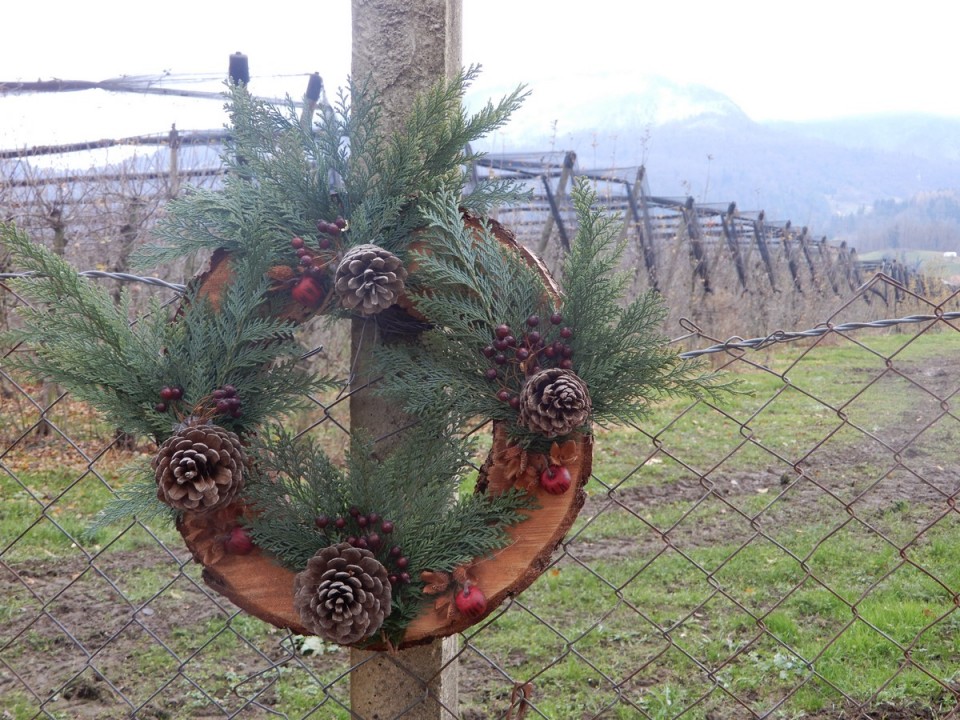 9. 12. 2024 - foto povečava