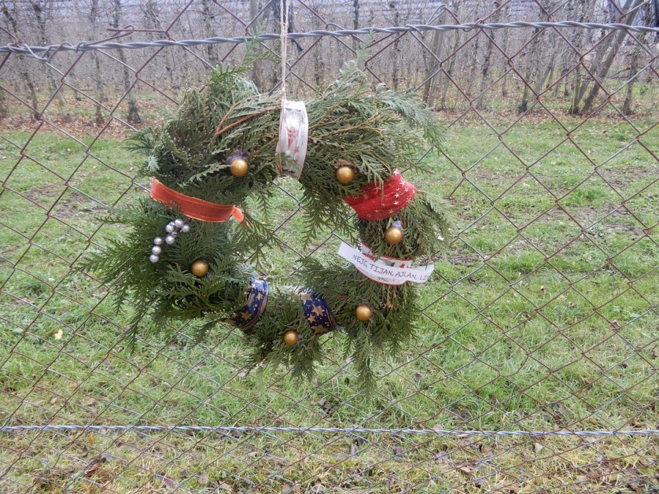9. 12. 2024 - foto povečava
