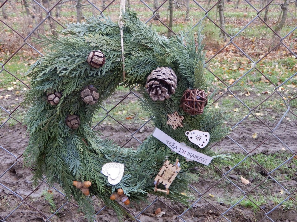 9. 12. 2024 - foto povečava