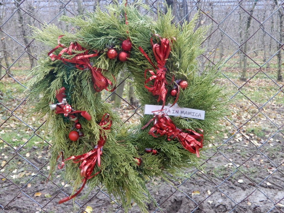 9. 12. 2024 - foto povečava