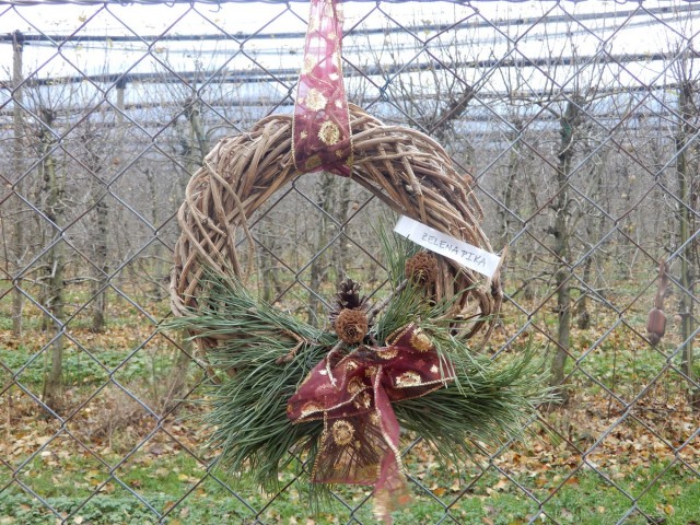 9. 12. 2024 - foto