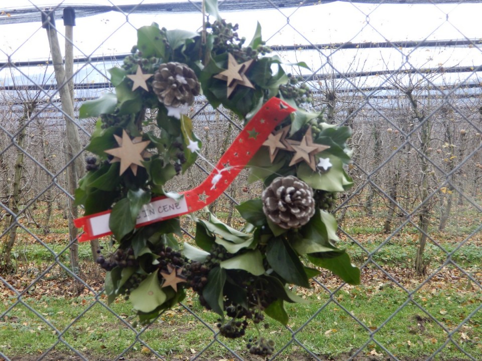 9. 12. 2024 - foto povečava