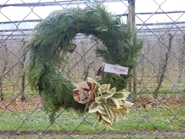 9. 12. 2024 - foto