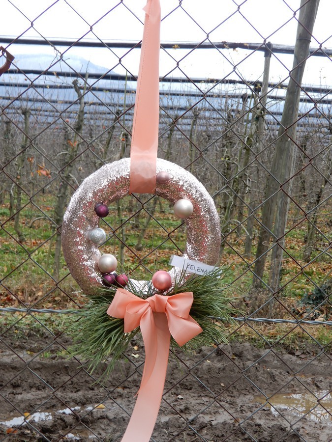 9. 12. 2024 - foto povečava