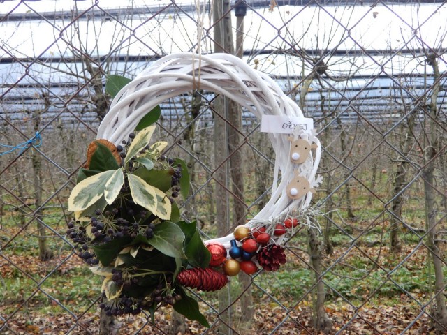 9. 12. 2024 - foto