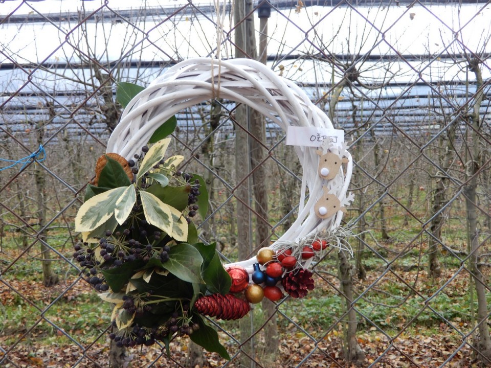 9. 12. 2024 - foto povečava