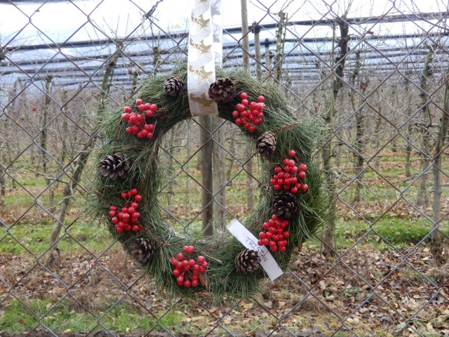 9. 12. 2024 - foto