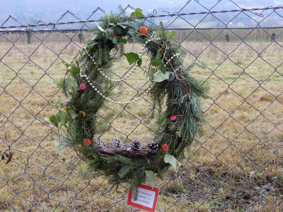 9. 12. 2024 - foto povečava