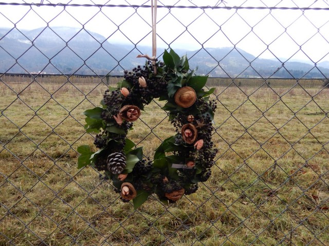 9. 12. 2024 - foto