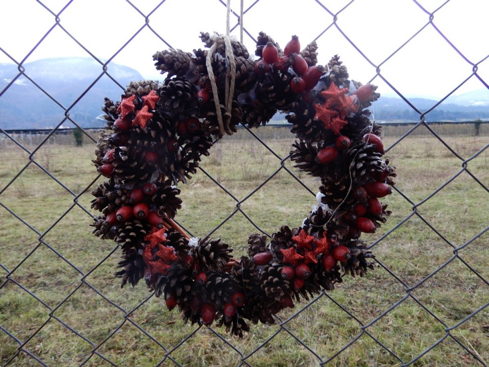 9. 12. 2024 - foto povečava