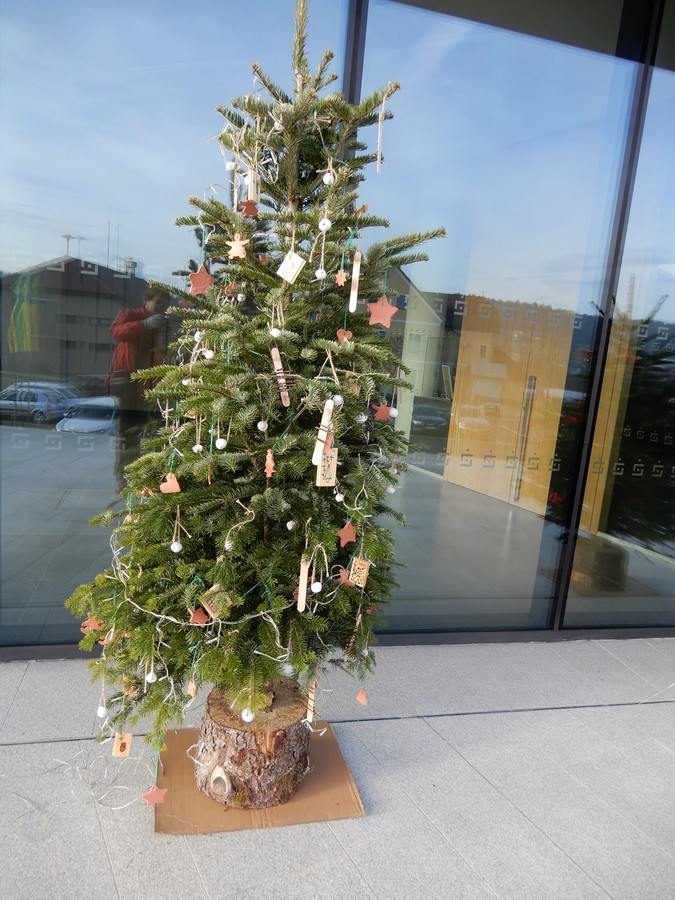 16. 12. 2024 - foto povečava