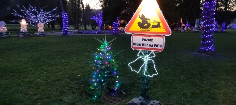 18. 12. 2024 - foto povečava