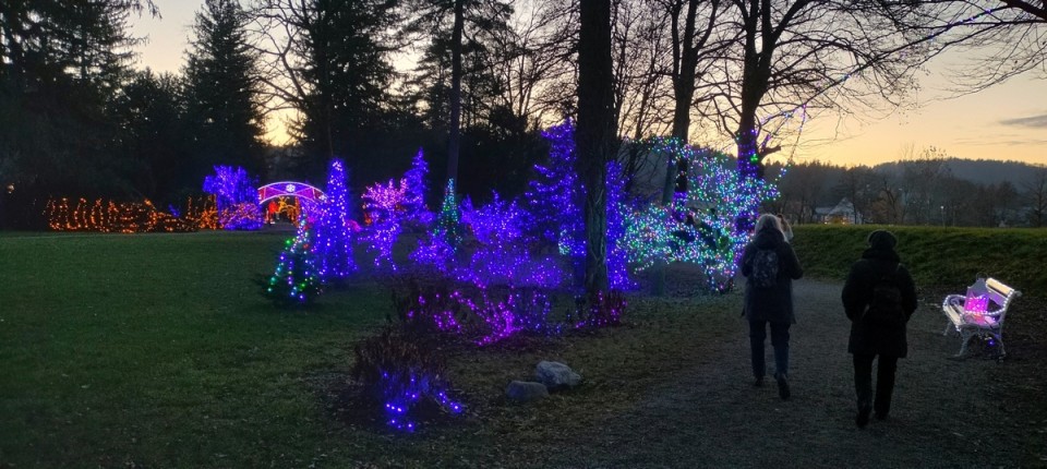 18. 12. 2024 - foto povečava