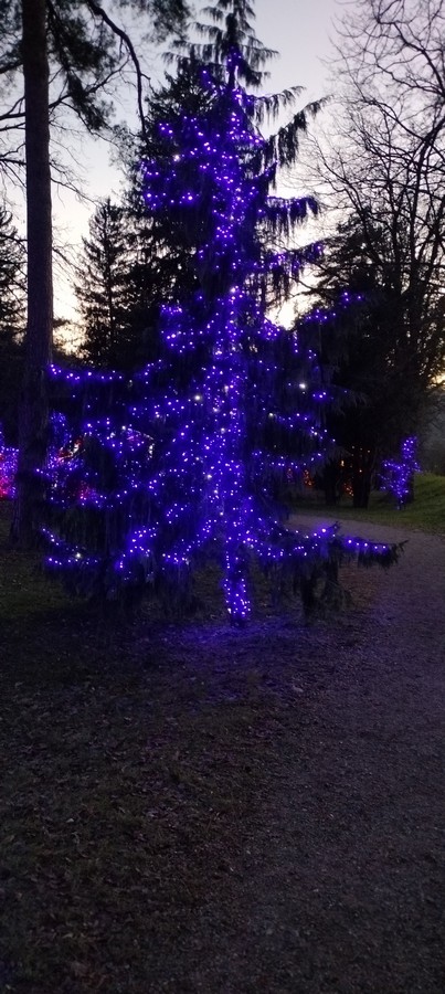 18. 12. 2024 - foto povečava