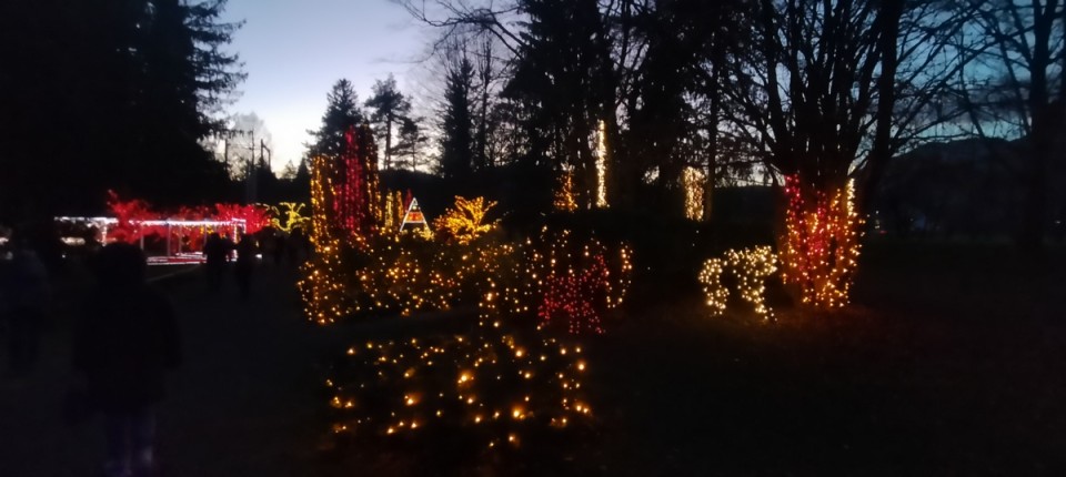 18. 12. 2024 - foto povečava