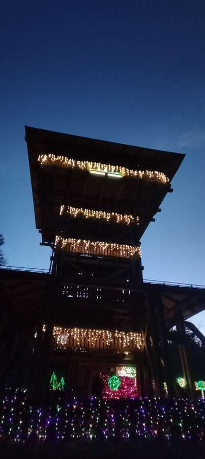 18. 12. 2024 - foto povečava