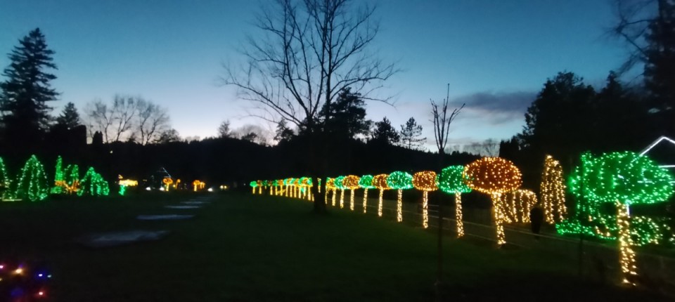 18. 12. 2024 - foto povečava