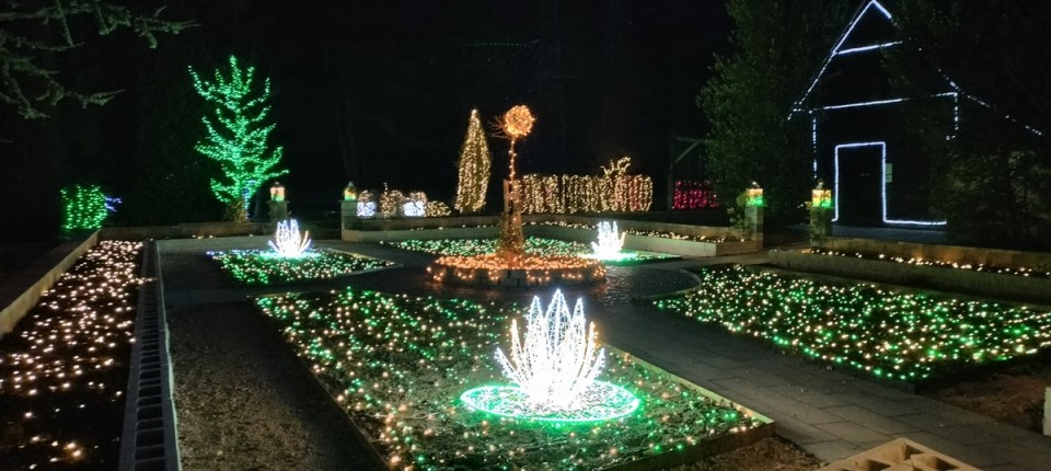 18. 12. 2024 - foto povečava