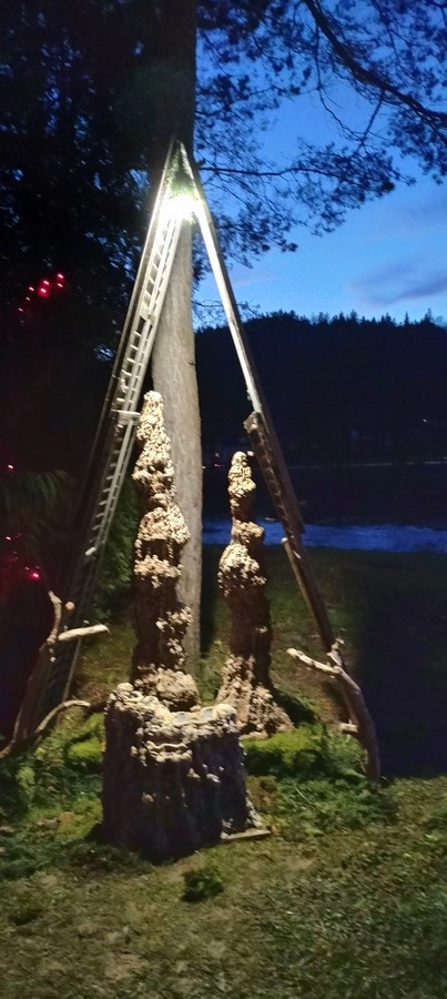 18. 12. 2024 - foto povečava