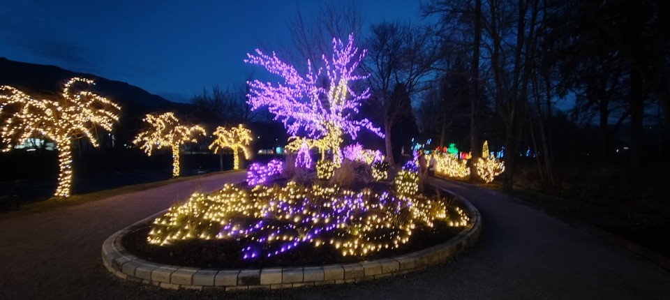18. 12. 2024 - foto povečava