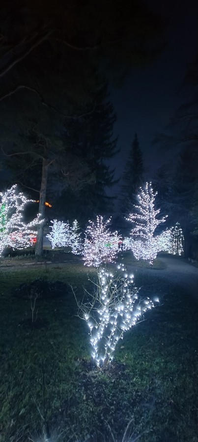 18. 12. 2024 - foto povečava