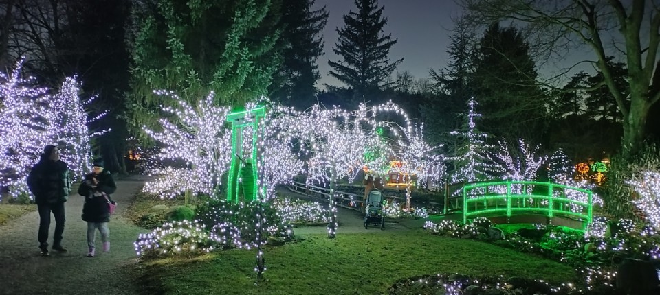 18. 12. 2024 - foto povečava