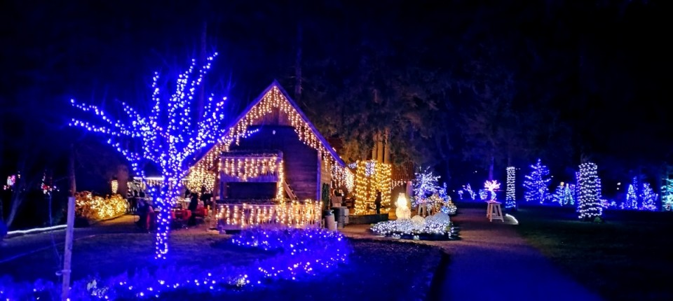 18. 12. 2024 - foto povečava