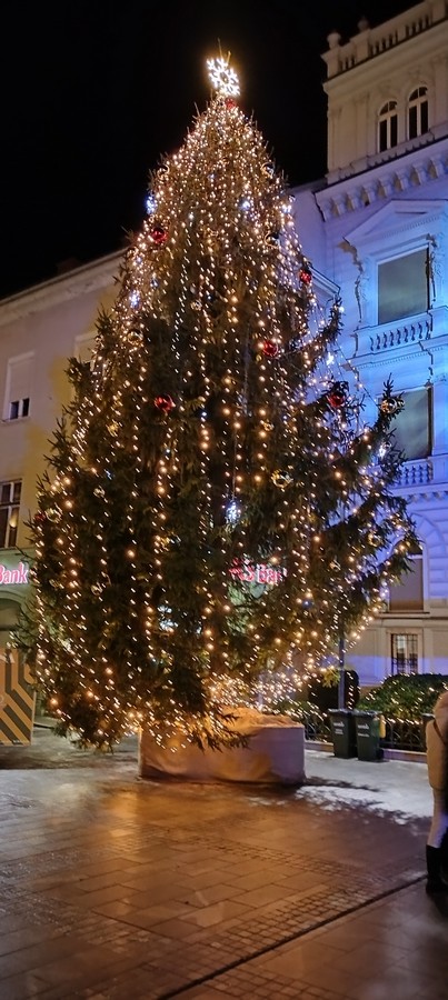 18. 12. 2024 - foto povečava