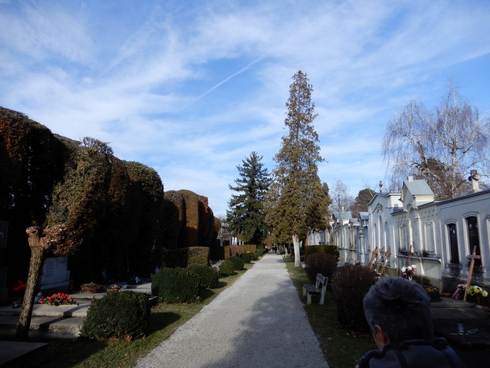 19. 12. 2024 - foto povečava