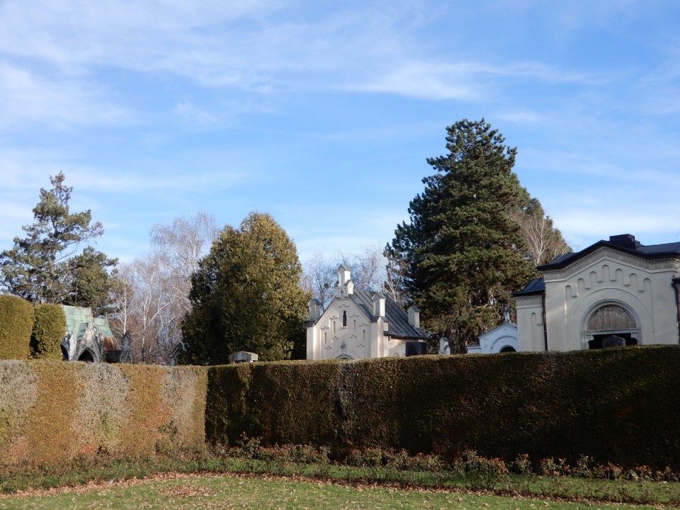 19. 12. 2024 - foto povečava