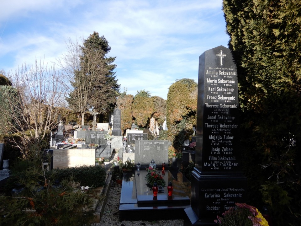 19. 12. 2024 - foto povečava