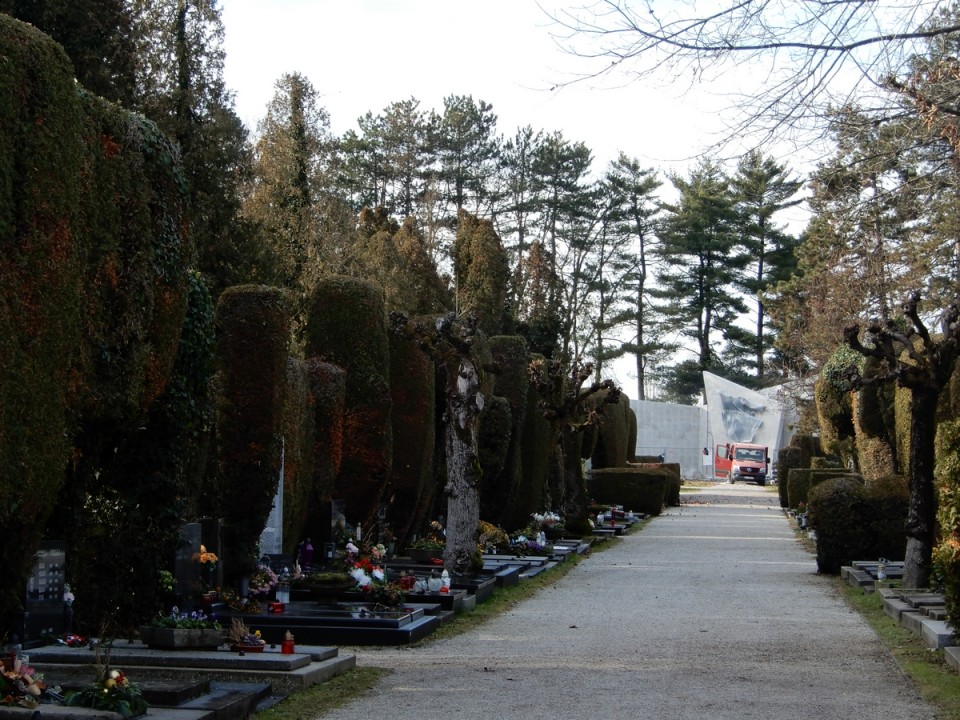 19. 12. 2024 - foto povečava