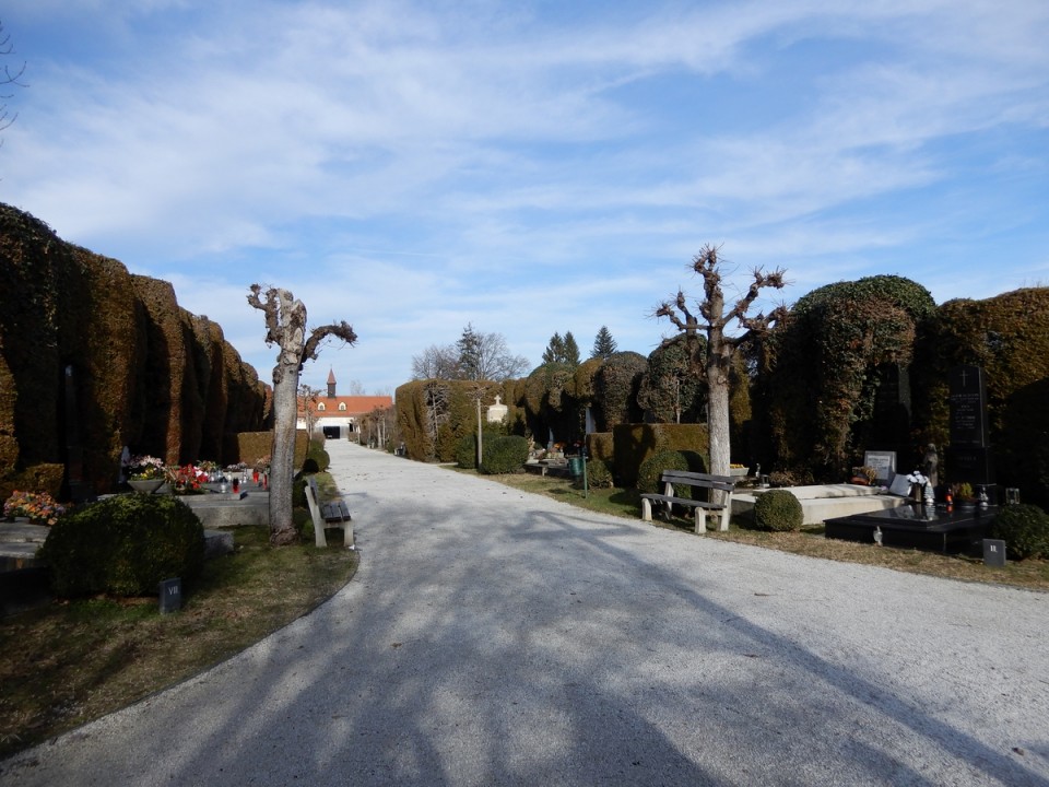 19. 12. 2024 - foto povečava