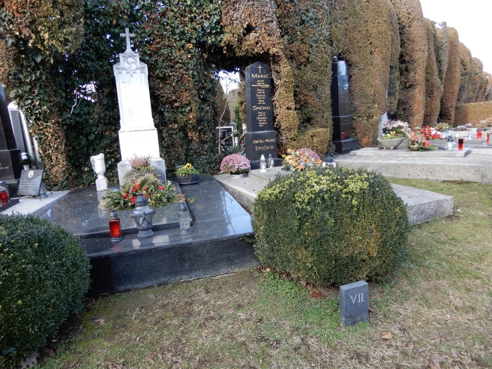 19. 12. 2024 - foto povečava