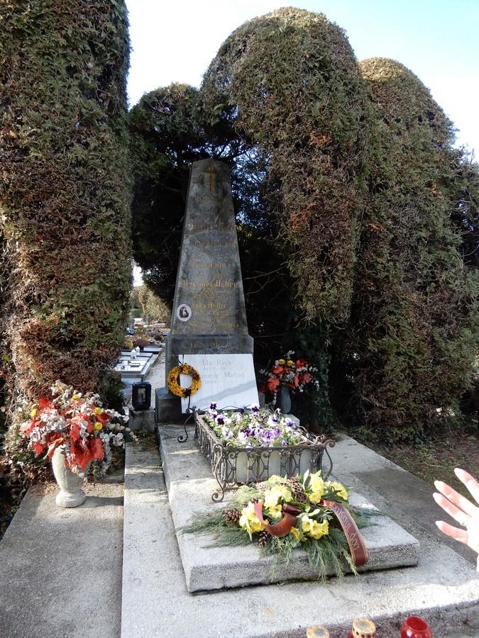 19. 12. 2024 - foto povečava